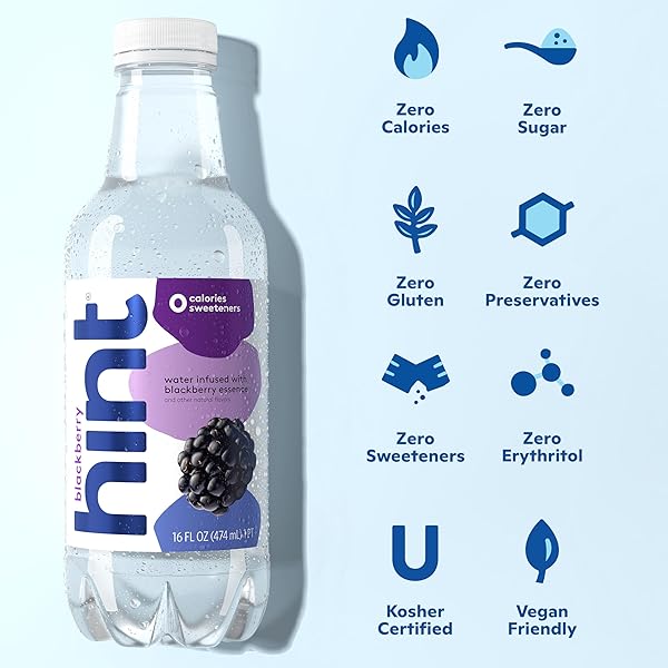 HINT WATER BLACKBERRY SINGLE BOTTLE, ONE 16 OUNCE BOTTLE, PURE WATER INFUSED WITH BLACKBERRY, ZERO SUGAR, ZERO CALORIES, ZERO SWEETENERS, ZERO PRESERVATIVES, ZERO ARTIFICIAL FLAVORS