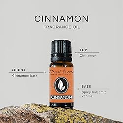 Cinnamon Premium Grade Fragrance Oil - Scented Oil