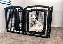 Review Image by @Denise24kt