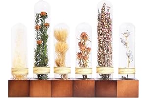 SKOGSKUNST 6Pcs Dried Flowers Book Shelf Decor,Boho Shelf Decor,Small Plants Decor for Office Shelves,Natural Forest Green Plants Home Decor with Wooden Base,Rustic Farmhouse Decor,Unique Gifts for Women,Friends