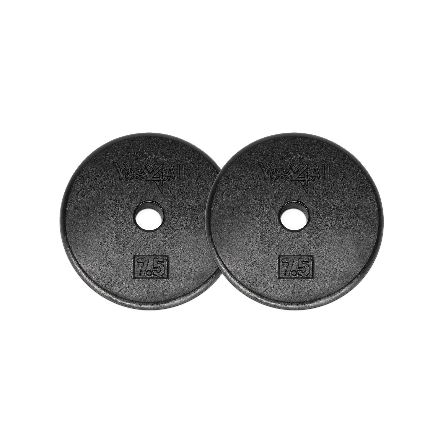 Best home gym weights plate