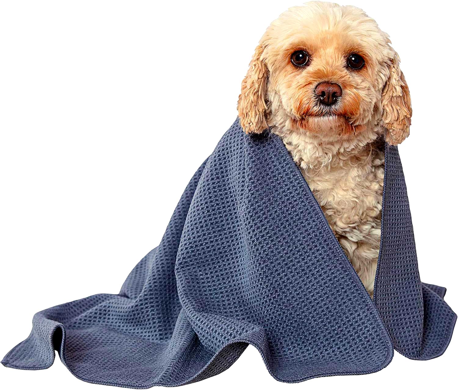 Glart 4485 Microfiber Dog Towel - 80x55cm absorbent towel for drying & cleaning - gentle on fur & paws - for car, bath & home - designed in Germany