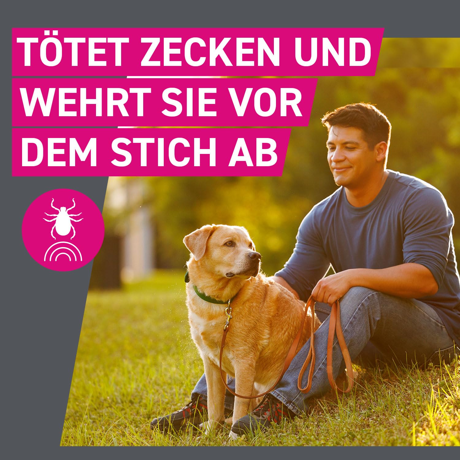 FRONTLINE TRI-ACT Hund L gegen Zecken, Flöhe & Mücken (große Hunde 20 bis 40 kg) - 3X Pipetten für bis zu 3 Monate Schutz - wasserfest - perfekt auf Reisen 2