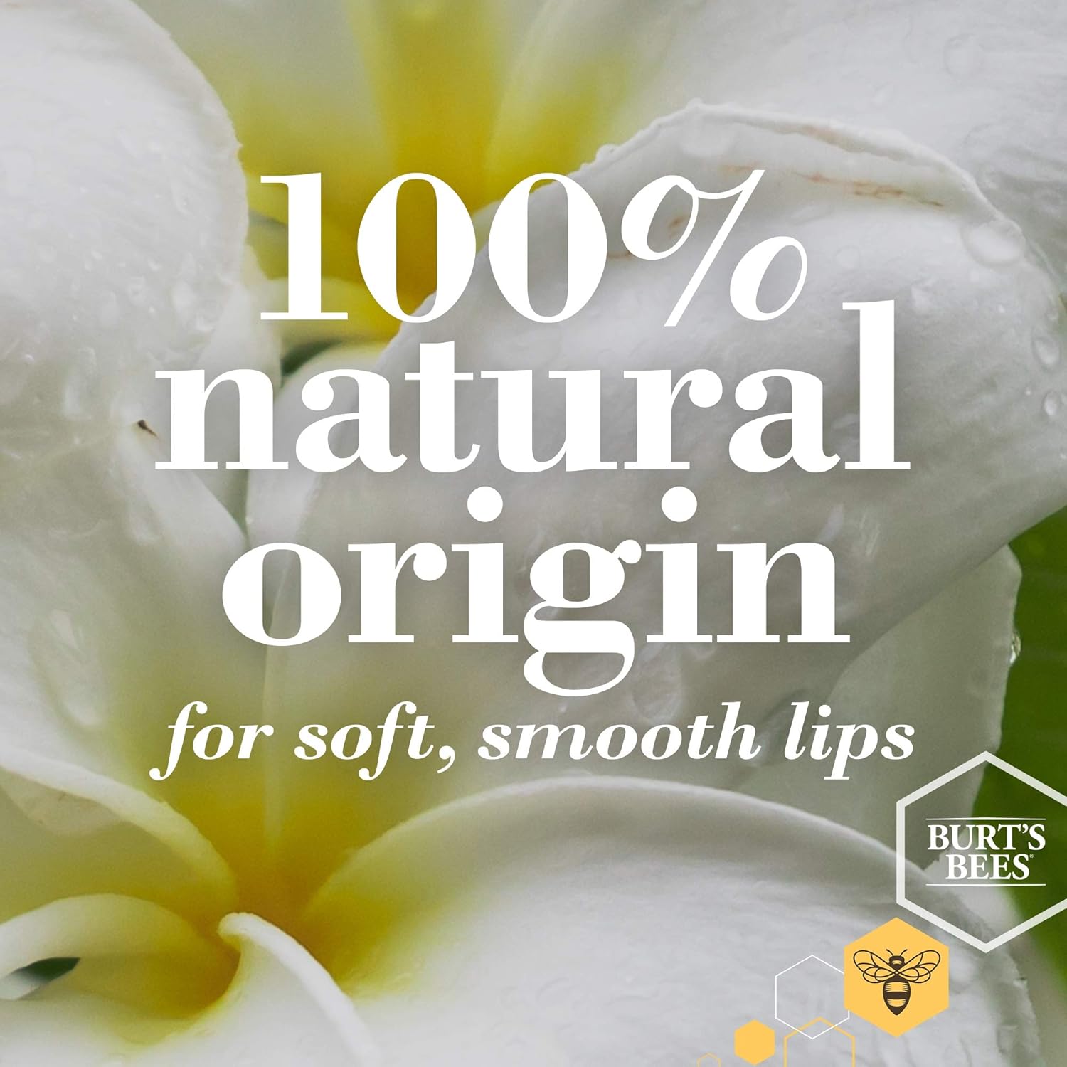 Burt's Bees 100% Natural Moisturizing Lip Balm, Ultra Conditioning with Kokum Butter, Shea Butter & Cocoa Butter - 2 Tubes : Lip Balms And Moisturizers : Beauty