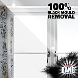 Cillit Bang Black Mould Remover Spray 750ml Pack of 3 - Mildew & Dirt view 2