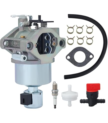 Carburateur 594593 Pour BS 591731 593514 697141 697190 698445 699109