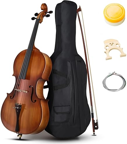 Amazon.com: Stentor 1102G2 Stentor Student Cello, 1/8 : Musical