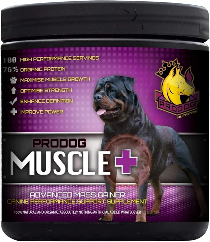 dog mass gainer
