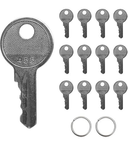 WACKER NEUSON EXCAVATOR Ignition Keys Gehl JLG JCB LINDE CLASS