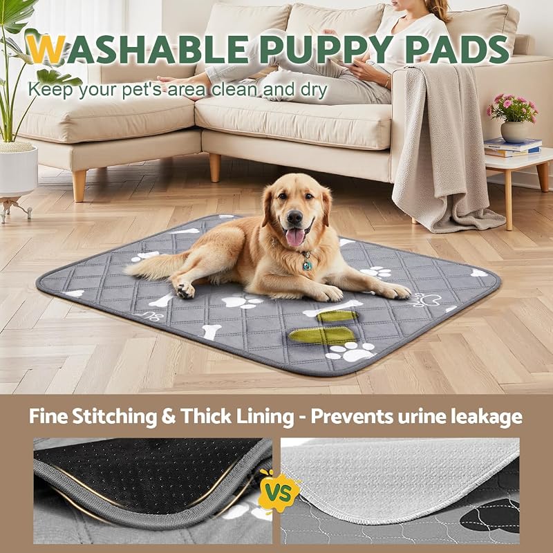 2 Pezzi 【60×50 cm】Tappetini Lavabili per Cani, Tappetino per Addestramento Riutilizzabile, Assorbente, Antiscivolo e A Prova di Perdite, Ideale per Gatti, Cani, Conigli e Porcellini d'India