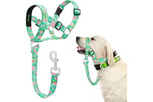 DOMIGLOW No-Pull Dog Head Collar - Adjustable Gentle Leader for Dogs, Padded Dog Headcollar to Stop Heavy Pulling on The Leash, Anti-PullHead Halter Collar for Easy Control on Walks (Green, Small)