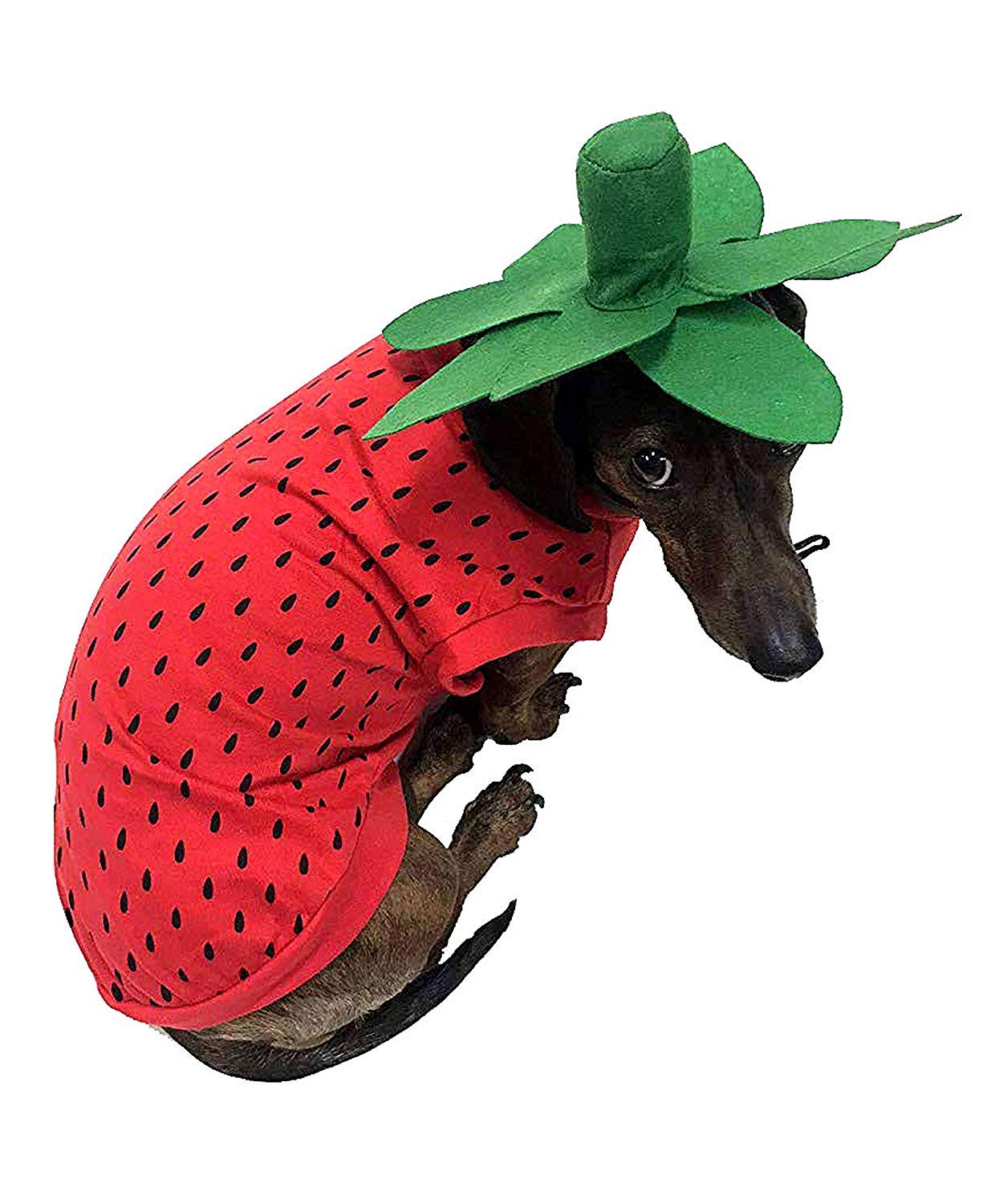 Photo 1 of Midlee Strawberry Halloween Dog Costume (X-Large)