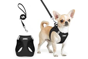 rabbitgoo Dog Harness Small Breed and Leash, Step in Soft Light Puppy Vest, Breathable Mesh No Pull Pet Harness, Reflective f
