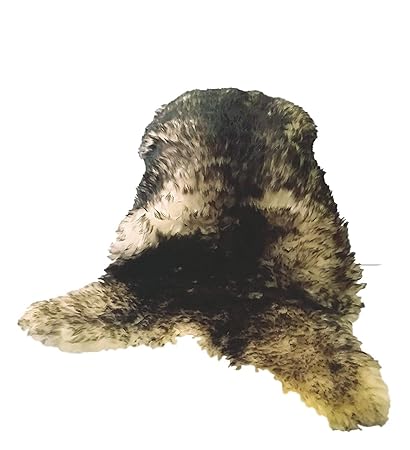 Amazinggirl Lammfell Schaffell Teppich Geschenkbox Naturform Echt Fell NATURFELL Sheepskin Paket FÜR Geschenk (Stracciatella,