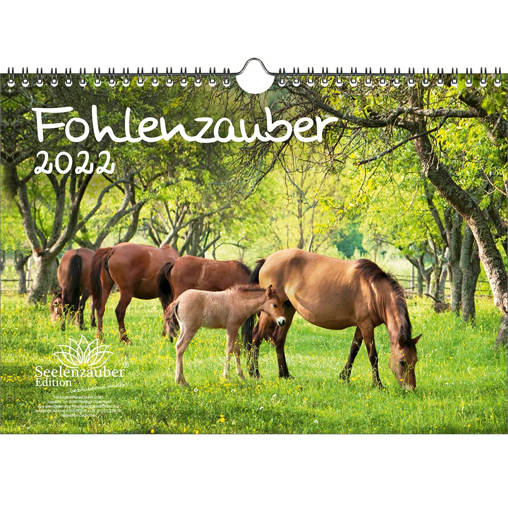Foal Magic DIN A4 Calendar for 2022 Horses and Foals - Soul Magic