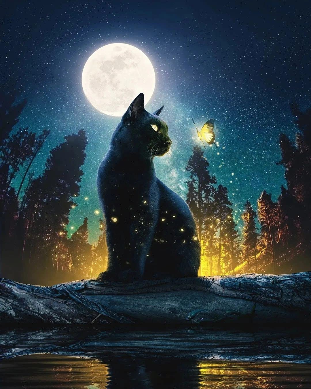 EOBROMD 5D Black Cat Diamond Painting Kits for Adults, Moon Diamond Art Kits Full Drill Gem Crystal Diamond Cross Stitch Picture Art Kits for Crafts Gifts 30x40cm