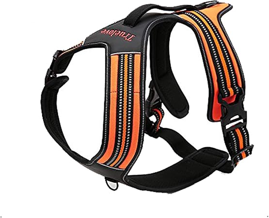 true love harness amazon