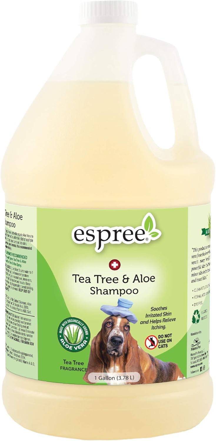 tea tree medicated shampoo