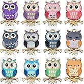 SUNNYCLUE 1 Box 48Pcs 12 Styles Alloy Owl Charm Bird Charms Bulk Golden Metal Colorful Painted Animals Birds Owls Charm for Jewelry Making Charms Bracelets Necklaces Earring DIY Crafts Accessories