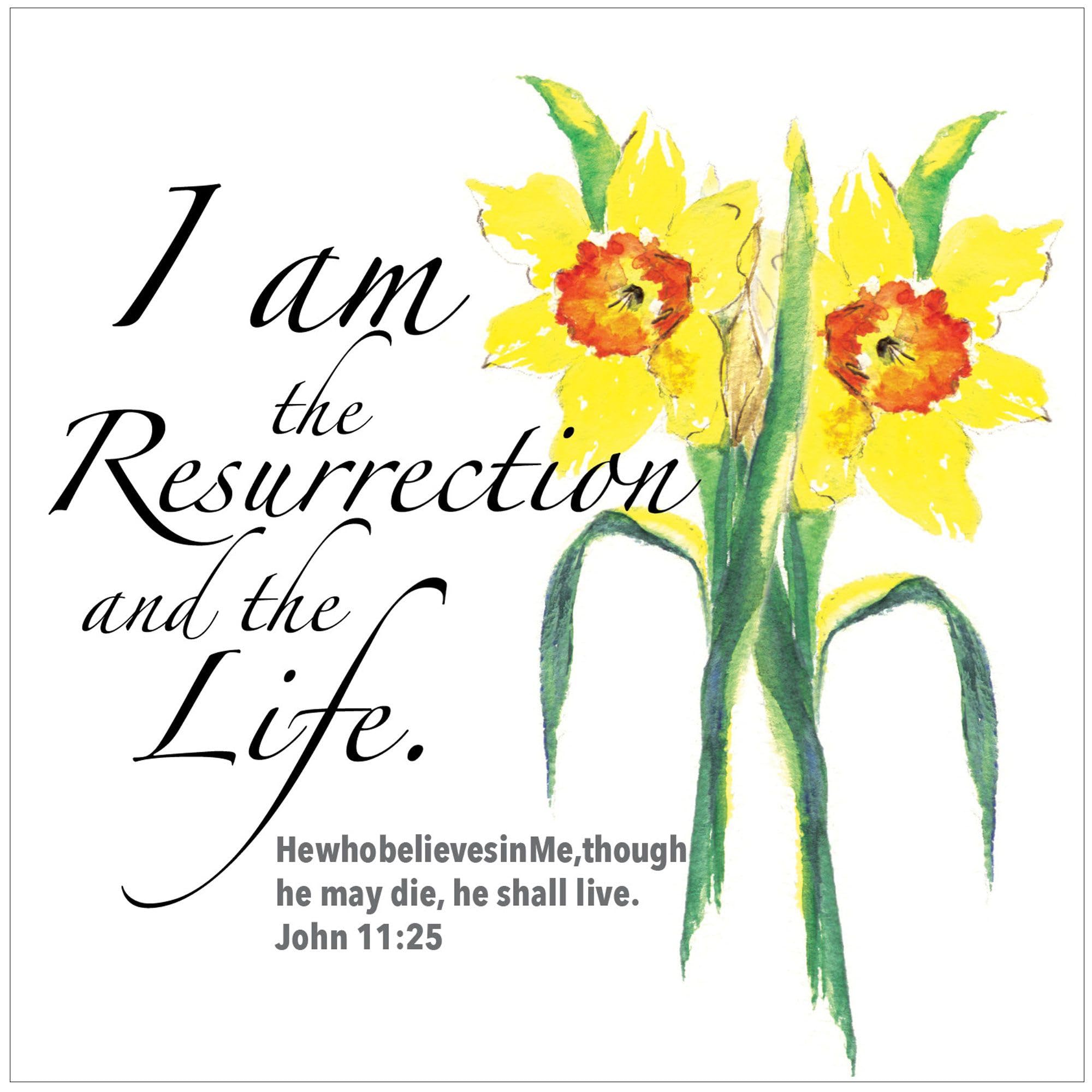 Religious Easter Cards - I Am The Resurrection, pack of 5, with white envelopes, with Bible verse inside these Christian Easter cards, by Just Cards Direct