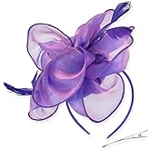 DRESHOW Fascinators Hat Tea Party Headwear Ribbons Feathers on a Headband and a Clip for Women