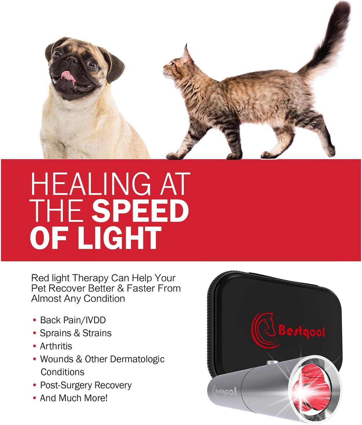 infrared light therapy for dogs