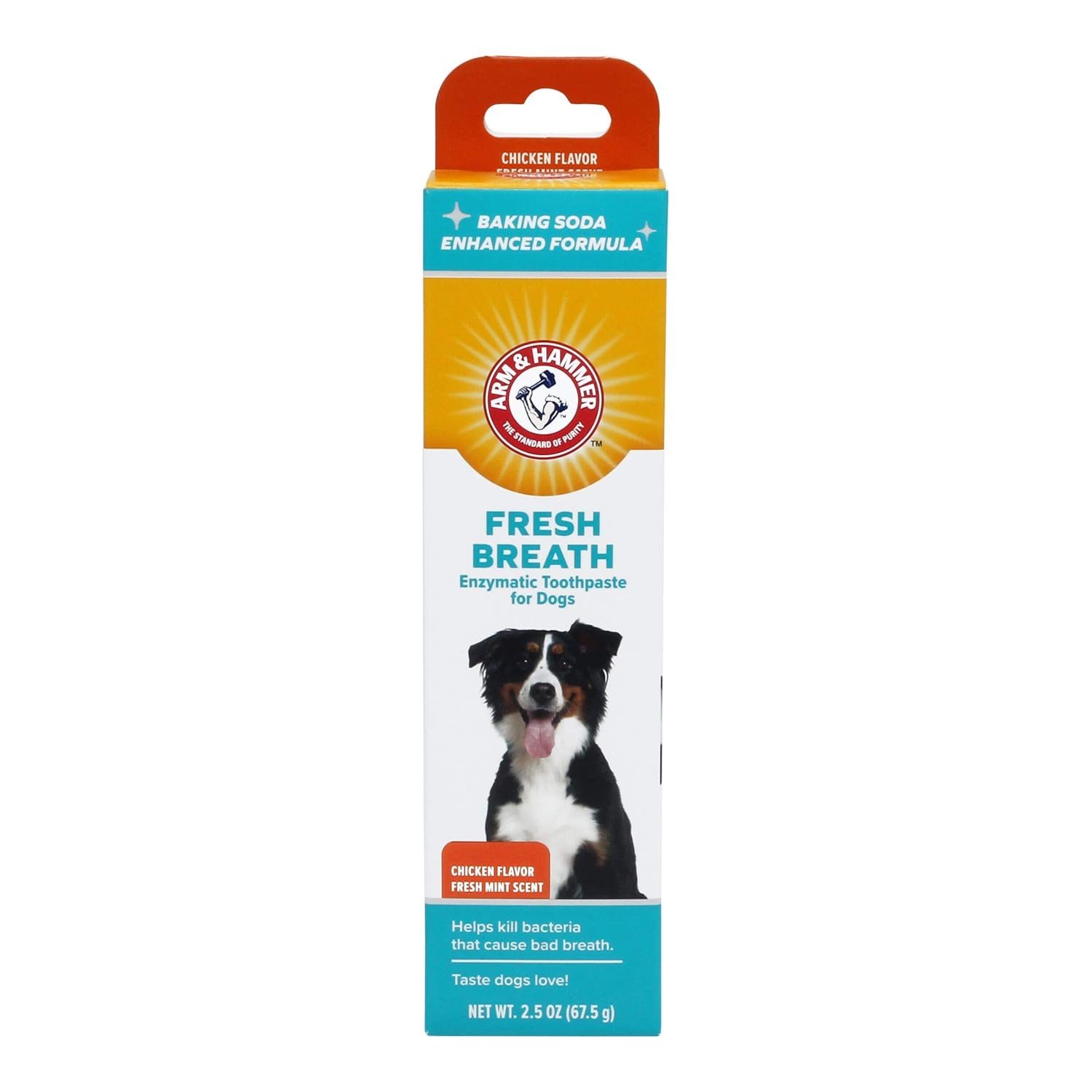 Arm & Hammer Advanced Care Enzymatic Toothpaste for Dogs, Poultry