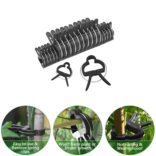 Schone Products (UK) Planta de jardín & flor clips-clamps a apoyo ...