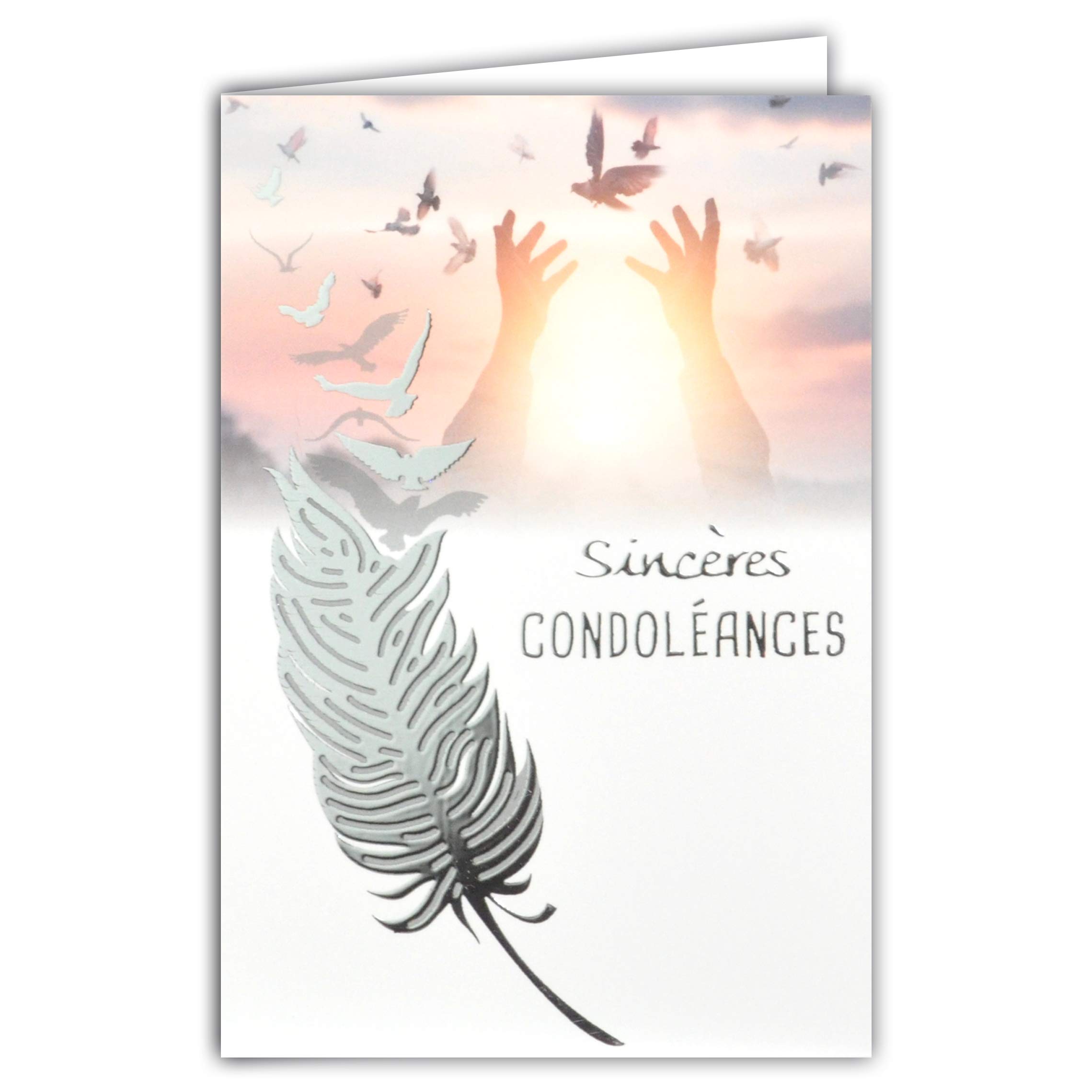 Grey Silver Shiny Excess Deuil Feather Fly Birds Peace Hands to The Sky Sun Hope Card Made in France