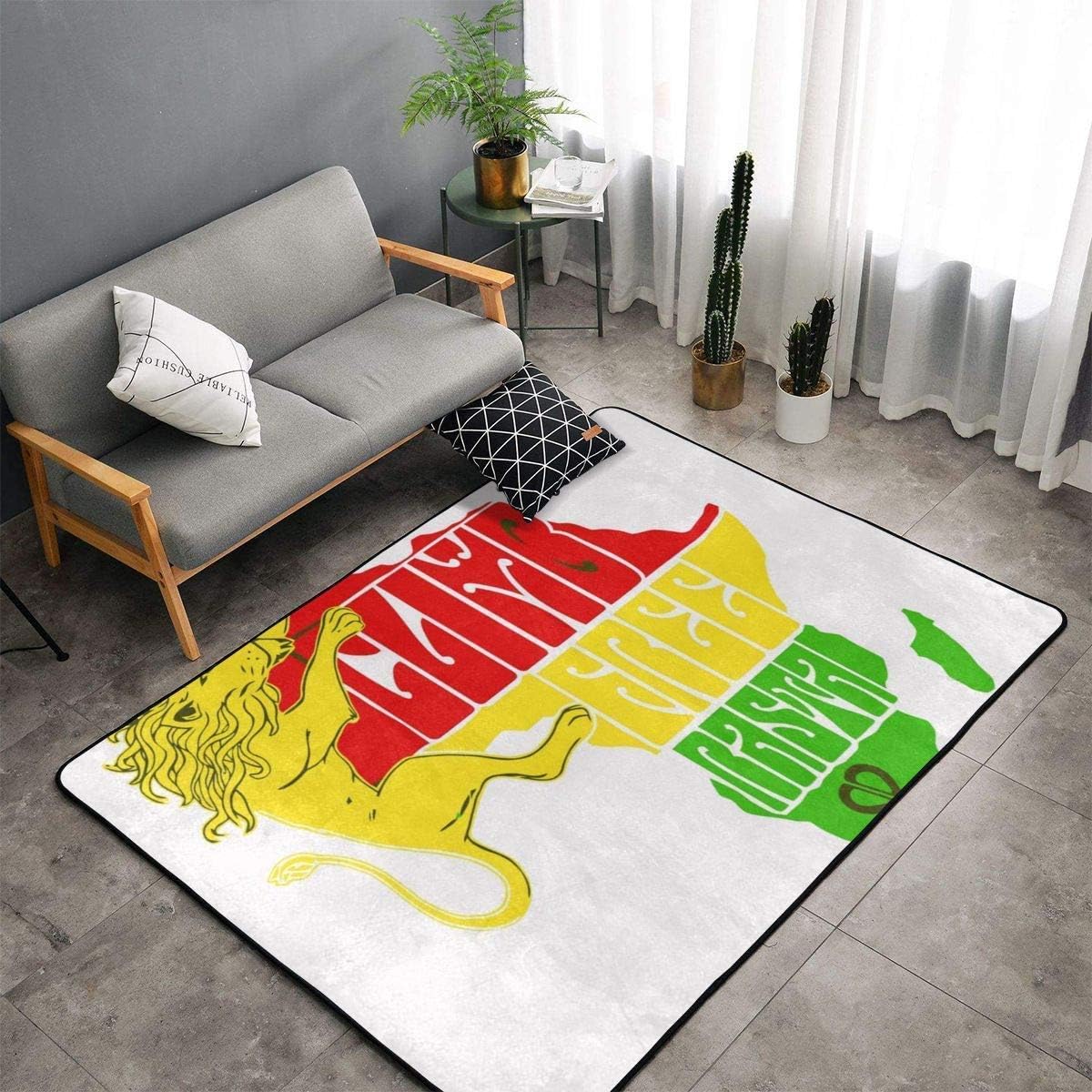 Soft Comfy Area Rugs Memory Foam Doormat for Bedroom Living Room Carpet for Kids Decorative Floor Rugs Luxury Large Rug 5' x 3',Africa Map Red Yellow Green Reggae Rasta Lion White