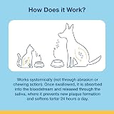 ProDen PlaqueOff Powder for Dogs & Cats 180g Tartar & Bad Breath view 6