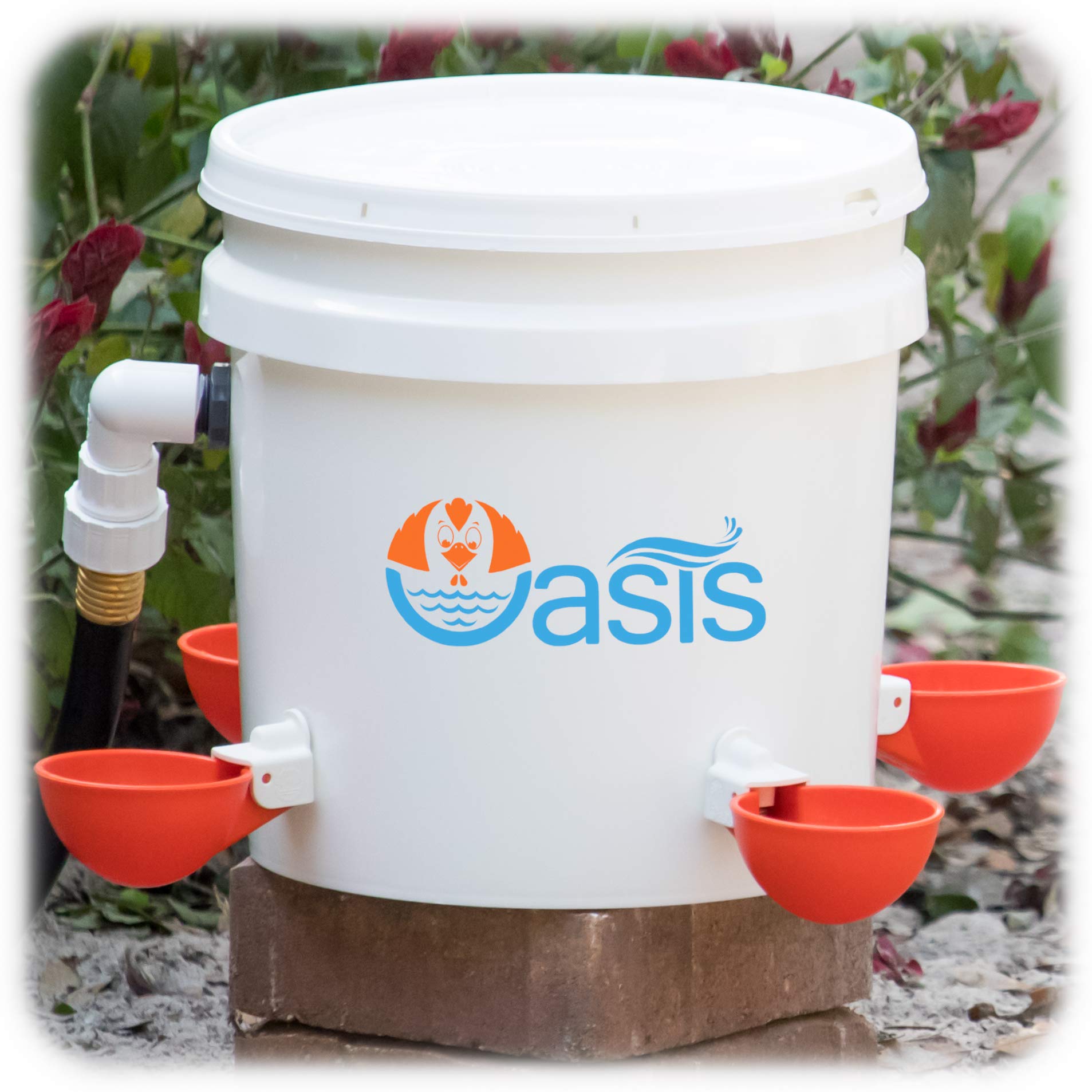 Diy Chicken Waterer Bucket waterer using a 5gallon bucket with pour