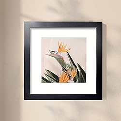 LaVie Home 12x12 Picture Frame Black Poster