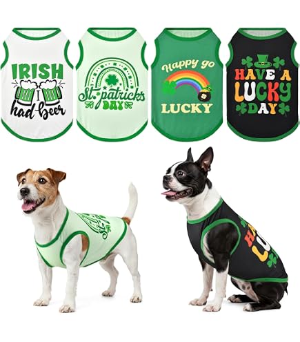 Hunde-Shirt „Lucky Boy“ Mit Kleeblatt-Druck – Für St. Patrick‘s Day, Schwarz, Größe XS