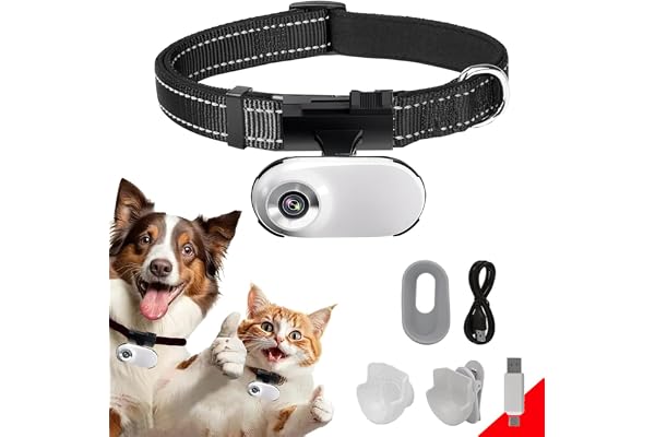 HD 1080P Cat Camera Collar with Video Record Wireless Mini Sport cam,Small Action Cameras,Body Camera for Pet Supplies/Stuff,