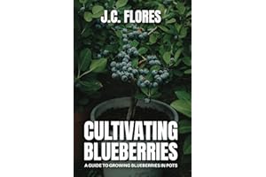 Cultivating Blueberries: A guide to growing blueberries in pots
