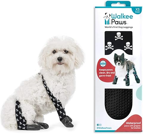 all paws great and small