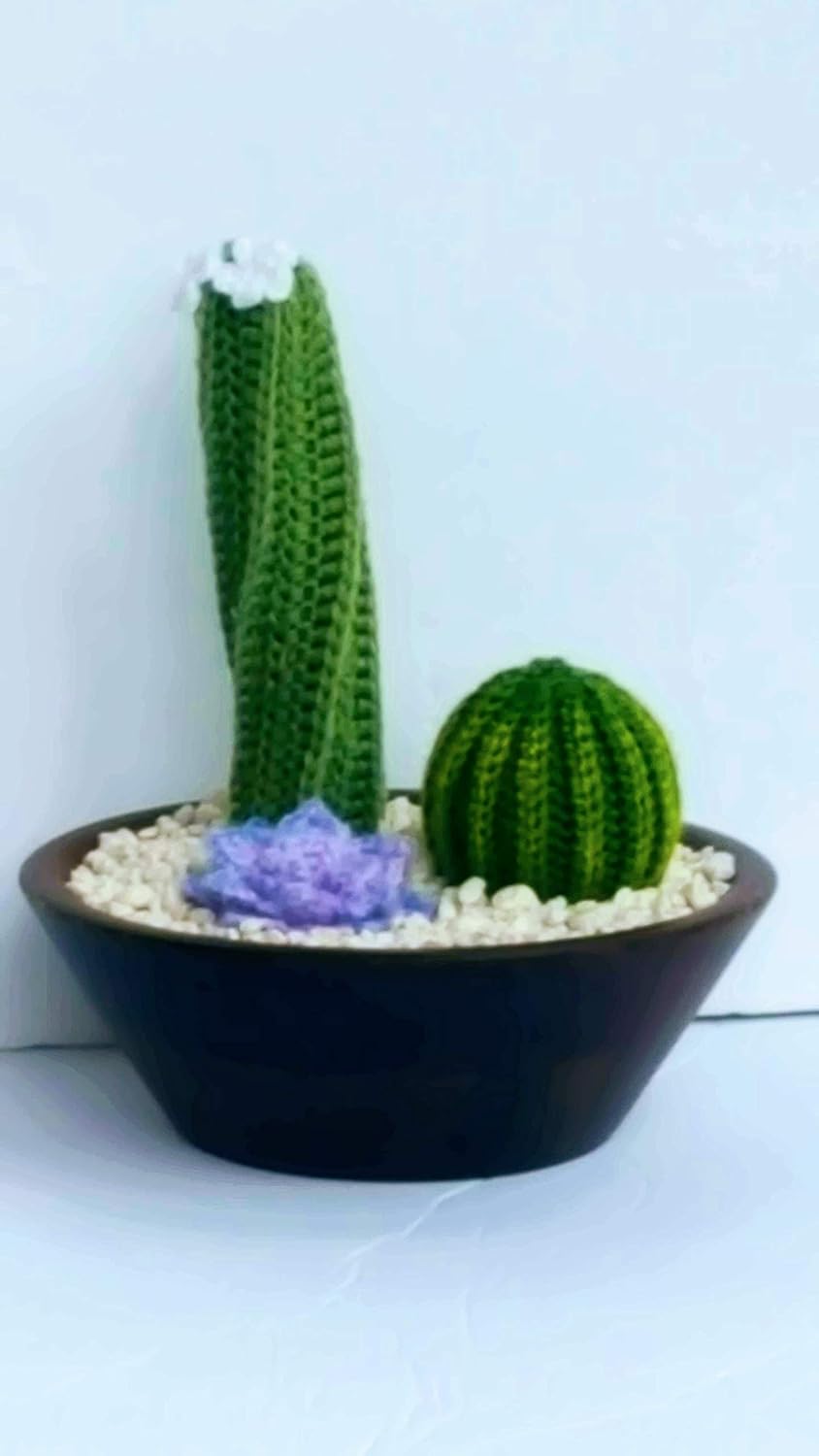 Amazon Com Handmade Cacti Bowl Home Decoration Office Decor Plant Handmade