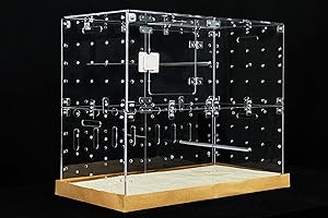 GuineaLoft™ Acrylic Cage (Model-E) – Multi-Level 2x1ft Enclosed Cage for Birds, Guinea Pigs, Chinchillas, Small Animals, Connectable, DIY Extendable - Visit The Guinea Loft Store to See It All