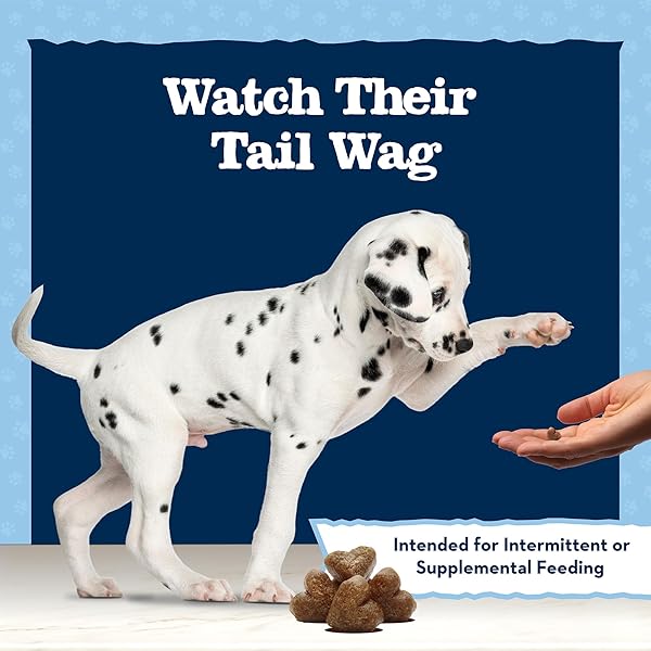 BLUE BUFFALO BABY BLUE TRAINING TREATS NATURAL PUPPY SOFT DOG TREATS, SAVORY CHICKEN 4-OZ BAG
