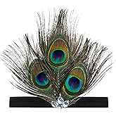 Peacock Feather Headband 1920s Peacock Rhinestone Fascinator Headband Peacock Feather Rhinestone Hair Accessories for Women Girls Halloween Tea Party Dancing Hair Accessories