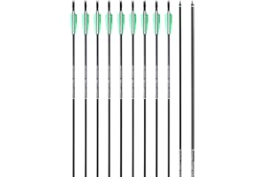 PANDARUS Archery 32inch/30inch 8mm Fiberglass Hunting Practice Arrows with Replaceable Arrowhead Spine 500 for Recure and Compound Bow Target (Pack of 12)