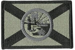 GADSDEN AND CULPEPER Florida Tactical Flag Patch