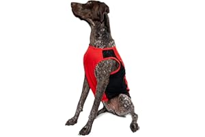 Insect Shield Pet Breathable Sleeveless Mesh Airflow Tank Top with Built in Bug and Tick Protection, Poppy, Large