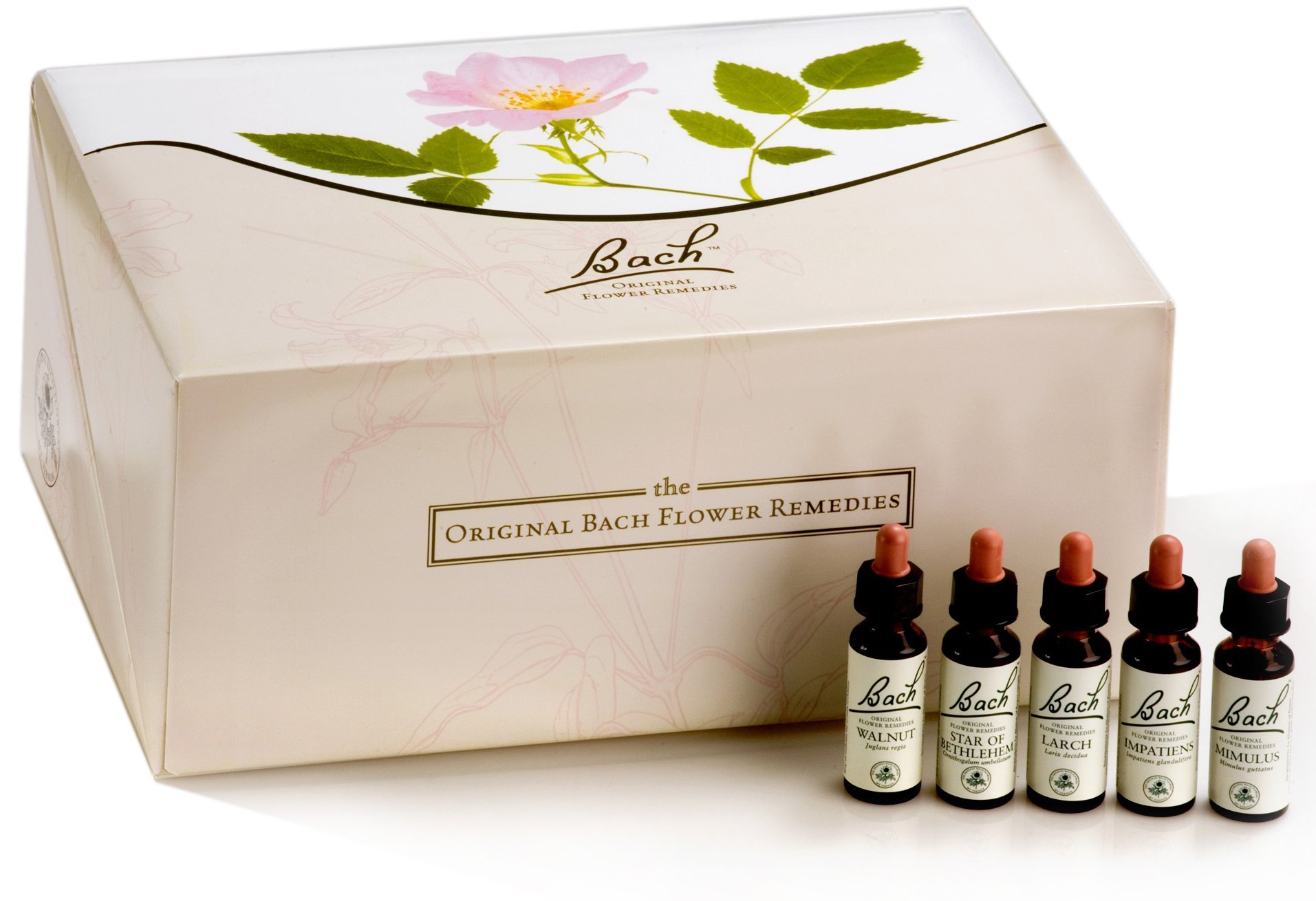 Buy Bach Original Flower Remedies Professional Cardboard Box Set