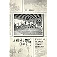 A World More Concrete: Real Estate and the Remaking of Jim Crow South Florida (Historical Studies of Urban America)
