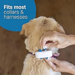 Tractive GPS Tracker & Health Monitoring for Dogs