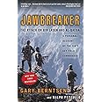 Jawbreaker: The Attack on Bin Laden and Al-Qaeda: A Personal Account by the CIA's Key Field Commander