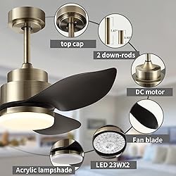 Surtime Modern Ceiling Fans With Lights Remote