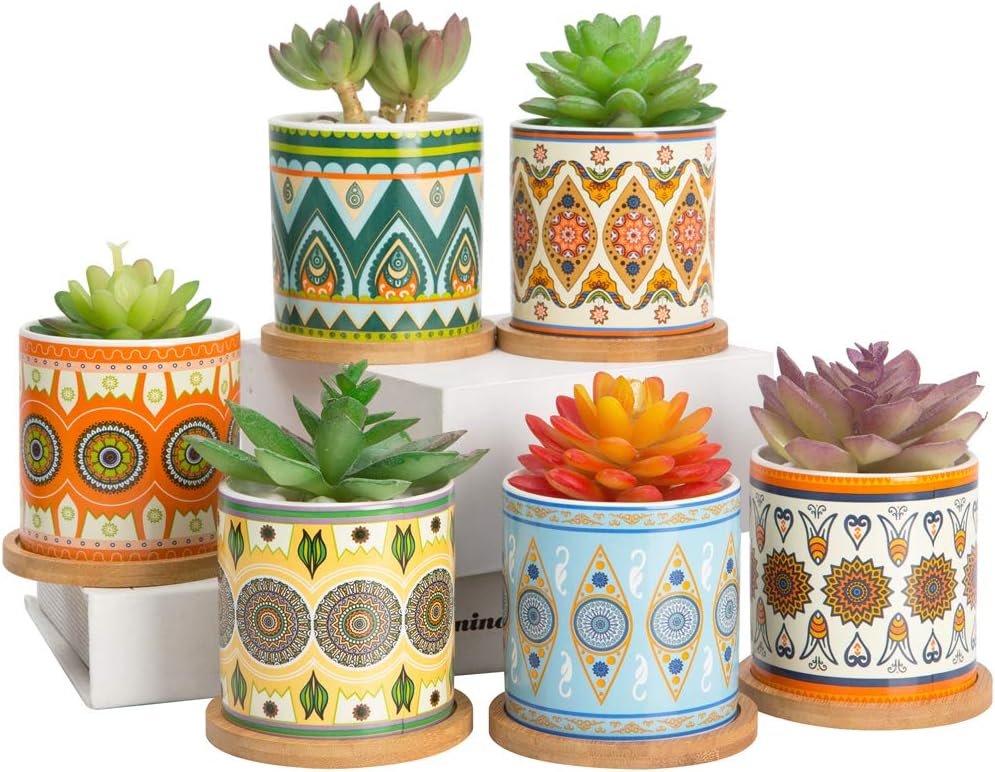 AlpsPro Succulent Plant Pots - 3.5 inch Ceramic Succulent Planter - Small Cylinder Flower Pots for Cactus with Drainage Hole and Bamboo Tray : Garden & Outdoor